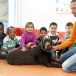 Foto von fünf Kindern und einer erwachsenen Person, die um einen großen braunen Hund sitzen und ihn in einem bunten Raum streicheln.